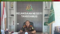 IMG-20230610-WA0013
