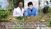 IMG-20230706-WA0042