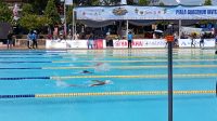 IMG-20260206-WA0100